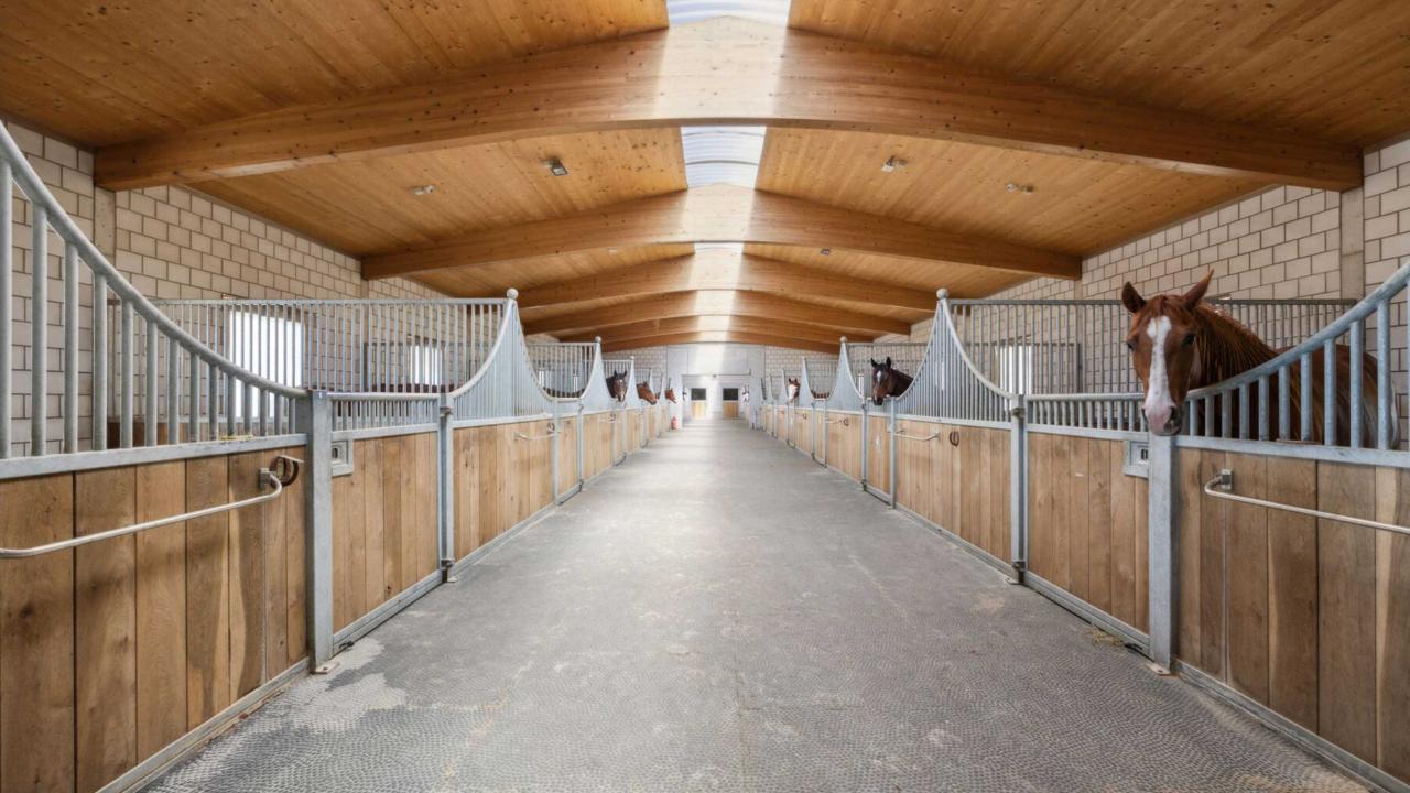 Stallansicht innen