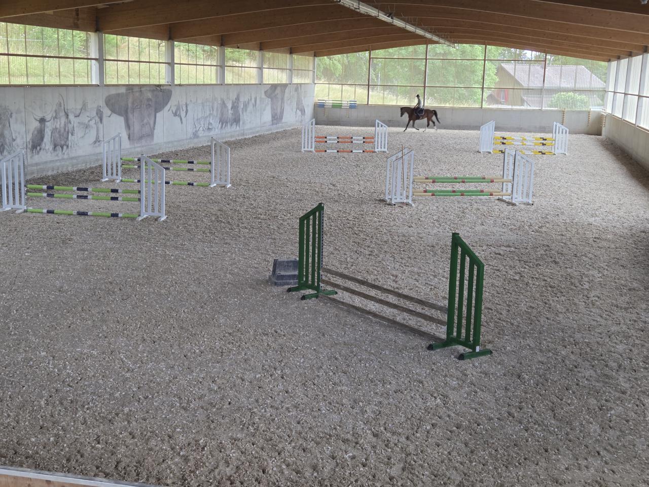 Hallenboden speziell für Springreiten und Dressur